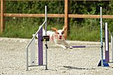 zomer wedstrijd someren zaterdag