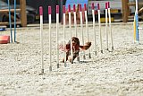 zomer wedstrijd someren zaterdag