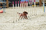 zomer wedstrijd someren zaterdag
