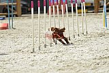 zomer wedstrijd someren zaterdag
