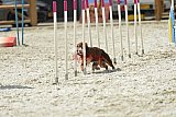 zomer wedstrijd someren zaterdag