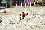 zomer wedstrijd someren zaterdag