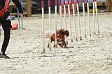 zomer wedstrijd someren zaterdag
