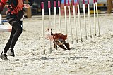 zomer wedstrijd someren zaterdag