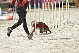 zomer wedstrijd someren zaterdag
