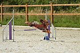 zomer wedstrijd someren zaterdag