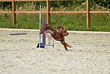 zomer wedstrijd someren zaterdag