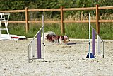 zomer wedstrijd someren zaterdag