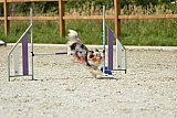 zomer wedstrijd someren zaterdag