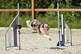 zomer wedstrijd someren zaterdag