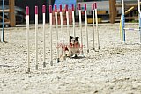 zomer wedstrijd someren zaterdag
