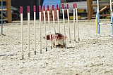 zomer wedstrijd someren zaterdag
