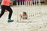 zomer wedstrijd someren zaterdag
