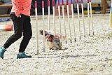 zomer wedstrijd someren zaterdag
