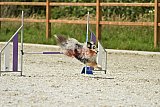 zomer wedstrijd someren zaterdag