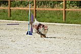 zomer wedstrijd someren zaterdag