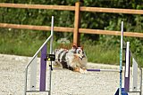zomer wedstrijd someren zaterdag