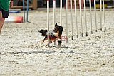 zomer wedstrijd someren zaterdag