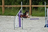 zomer wedstrijd someren zaterdag