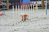 zomer wedstrijd someren zaterdag