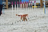 zomer wedstrijd someren zaterdag