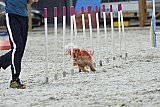 zomer wedstrijd someren zaterdag