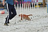 zomer wedstrijd someren zaterdag