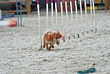 zomer wedstrijd someren zaterdag