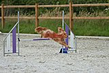 zomer wedstrijd someren zaterdag