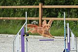 zomer wedstrijd someren zaterdag