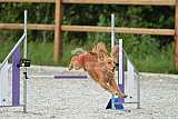 zomer wedstrijd someren zaterdag
