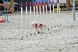 zomer wedstrijd someren zaterdag