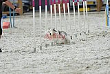 zomer wedstrijd someren zaterdag