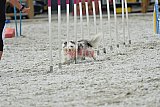 zomer wedstrijd someren zaterdag
