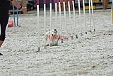 zomer wedstrijd someren zaterdag