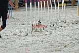 zomer wedstrijd someren zaterdag