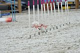 zomer wedstrijd someren zaterdag