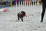 zomer wedstrijd someren zaterdag