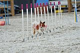 zomer wedstrijd someren zaterdag