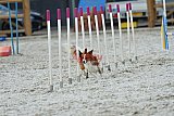 zomer wedstrijd someren zaterdag