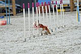 zomer wedstrijd someren zaterdag
