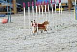 zomer wedstrijd someren zaterdag