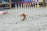 zomer wedstrijd someren zaterdag