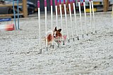 zomer wedstrijd someren zaterdag