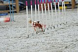 zomer wedstrijd someren zaterdag