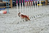 zomer wedstrijd someren zaterdag