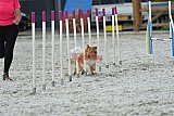 zomer wedstrijd someren zaterdag