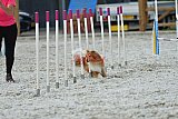zomer wedstrijd someren zaterdag