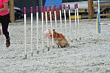 zomer wedstrijd someren zaterdag