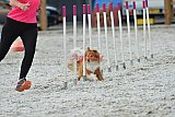 zomer wedstrijd someren zaterdag